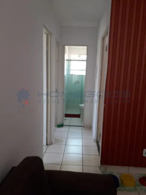 Apartamento com 2 quartos à venda, 48m2 em Parque São Jorge, Campinas - SP - imagem 6 Foto 6 de Apartamento com 2 quartos à venda, 48m2 em Parque São Jorge, Campinas - SP