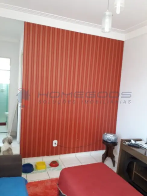 Apartamento com 2 quartos à venda, 48m2 em Parque São Jorge, Campinas - SP - imagem 4 Foto 4 de Apartamento com 2 quartos à venda, 48m2 em Parque São Jorge, Campinas - SP