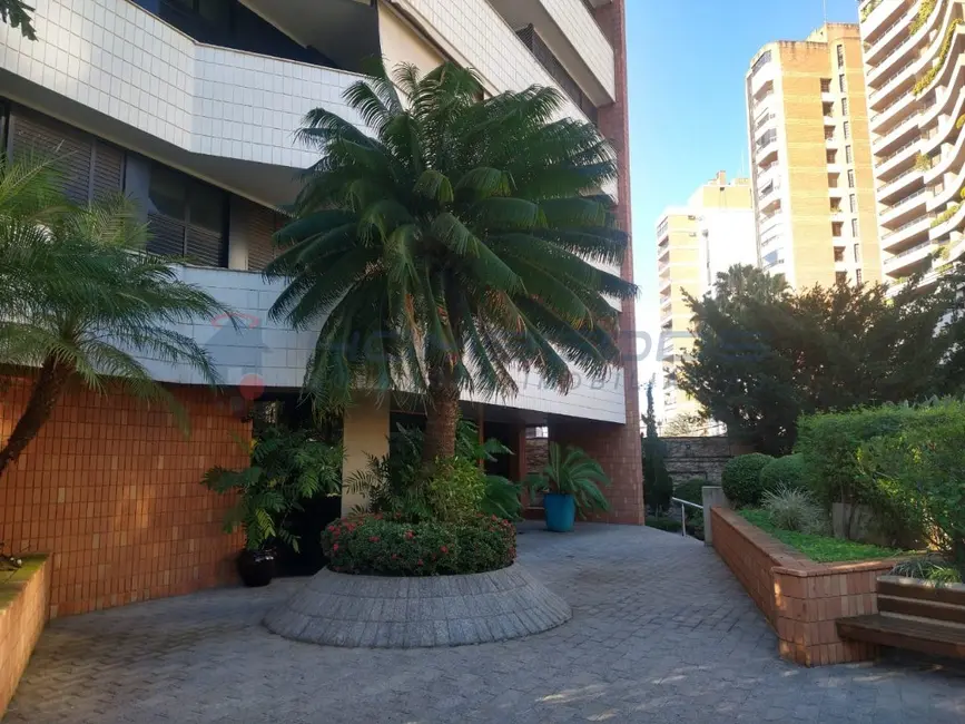 Apartamento com 4 quartos à venda, 284m2 em Cambuí, Campinas - SP - imagem 3 Foto 3 de Apartamento com 4 quartos à venda, 284m2 em Cambuí, Campinas - SP