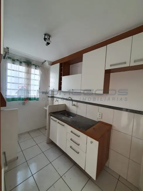Apartamento com 2 quartos à venda, 53m2 em Vila Industrial, Campinas - SP - imagem 6 Foto 6 de Apartamento com 2 quartos à venda, 53m2 em Vila Industrial, Campinas - SP