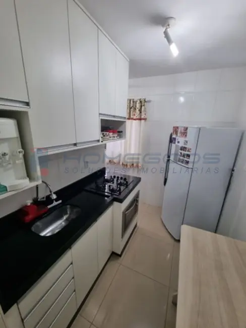 Apartamento com 2 quartos à venda, 43m2 em Jardim São Vicente, Campinas - SP - imagem 3 Foto 3 de Apartamento com 2 quartos à venda, 43m2 em Jardim São Vicente, Campinas - SP
