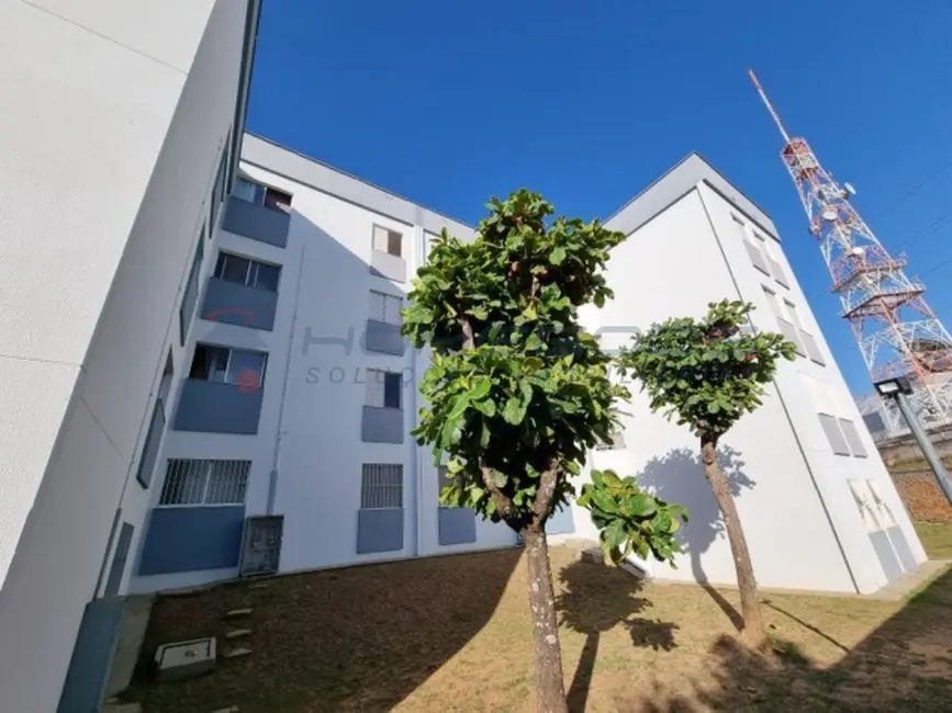 Apartamento com 2 quartos à venda, 43m2 em Jardim São Vicente, Campinas - SP - imagem 1 Foto 1 de Apartamento com 2 quartos à venda, 43m2 em Jardim São Vicente, Campinas - SP