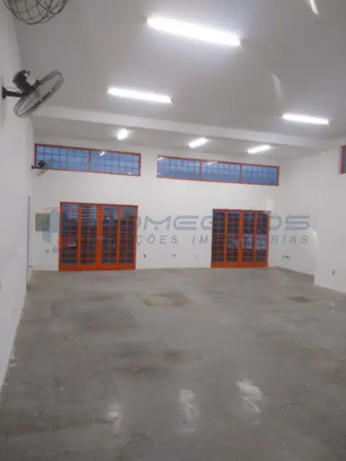 Armazém / Galpão à venda, 500m2 em Parque São Quirino, Campinas - SP - imagem 7 Foto 7 de Armazém / Galpão à venda, 500m2 em Parque São Quirino, Campinas - SP