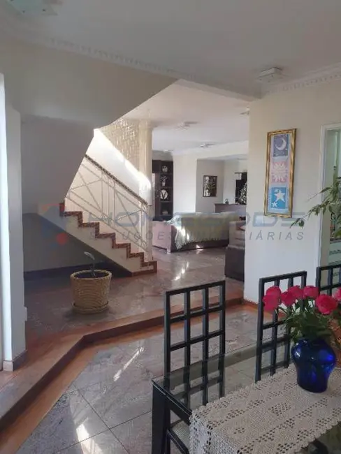 Apartamento com 3 quartos à venda, 240m2 em Vila Itapura, Campinas - SP - imagem 9 Foto 9 de Apartamento com 3 quartos à venda, 240m2 em Vila Itapura, Campinas - SP