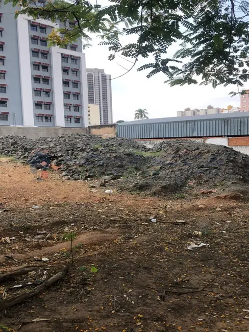 Foto 5 de Terreno / Lote à venda, 834m2 em Vila Itapura, Campinas - SP
