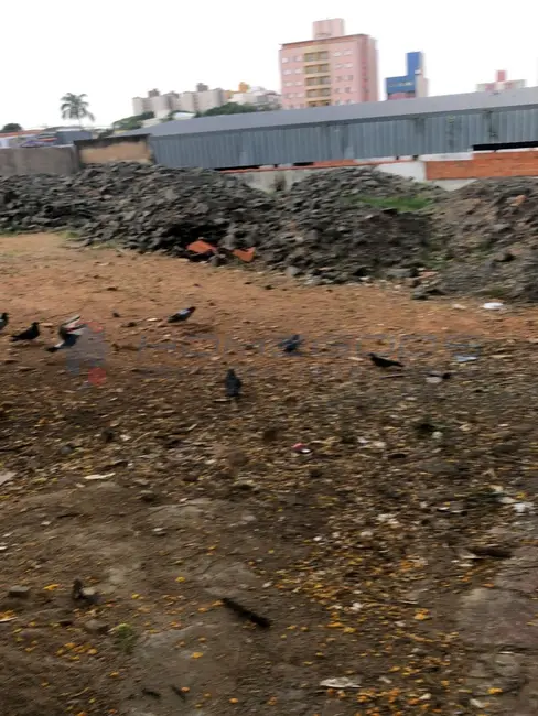 Foto 8 de Terreno / Lote à venda, 834m2 em Vila Itapura, Campinas - SP