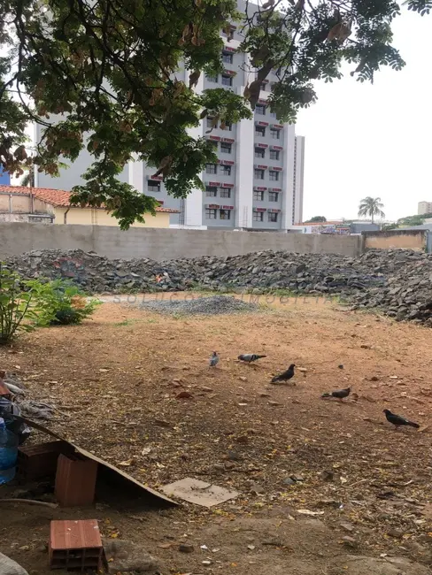 Foto 4 de Terreno / Lote à venda, 834m2 em Vila Itapura, Campinas - SP