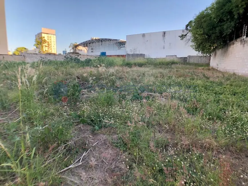 Terreno / Lote à venda, 1300m2 em Cambuí, Campinas - SP - imagem 2 Foto 2 de Terreno / Lote à venda, 1300m2 em Cambuí, Campinas - SP