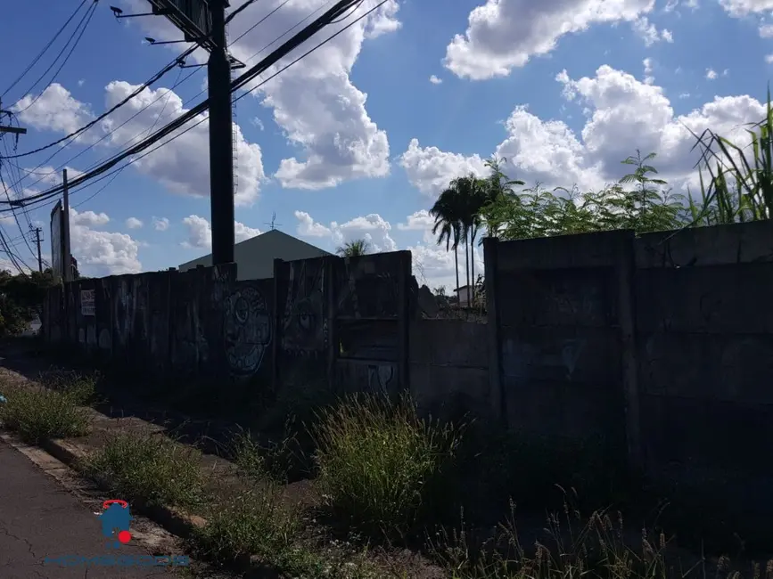 Foto 4 de Terreno / Lote para alugar, 1000m2 em Jardim das Paineiras,  - SP