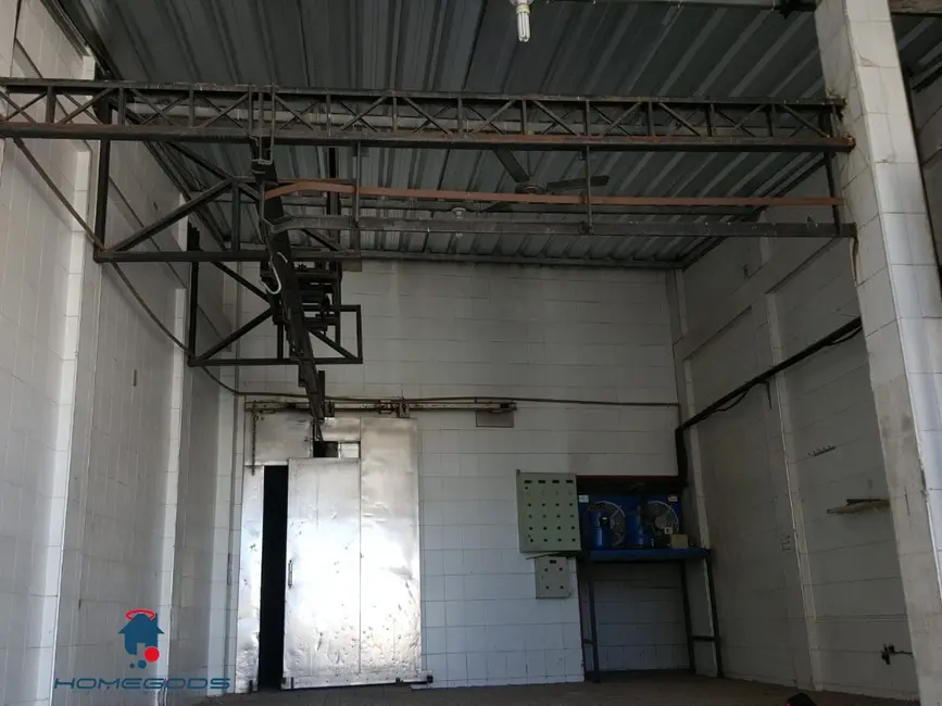 Foto 1 de Armazém / Galpão para alugar, 250m2 em Jardim Guanabara, Campinas - SP