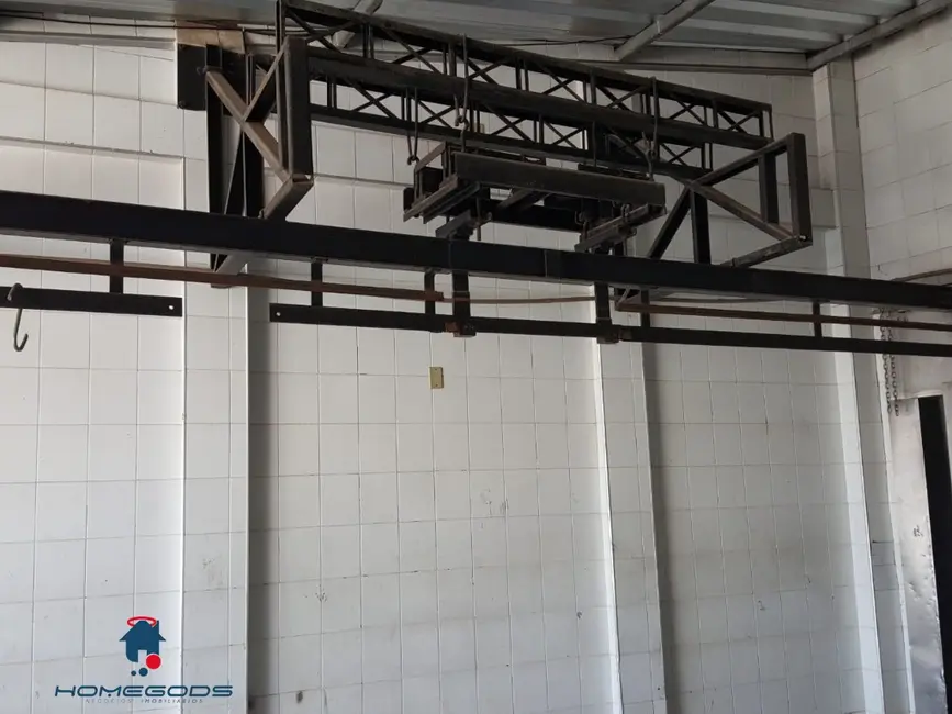 Foto 7 de Armazém / Galpão para alugar, 250m2 em Jardim Guanabara, Campinas - SP