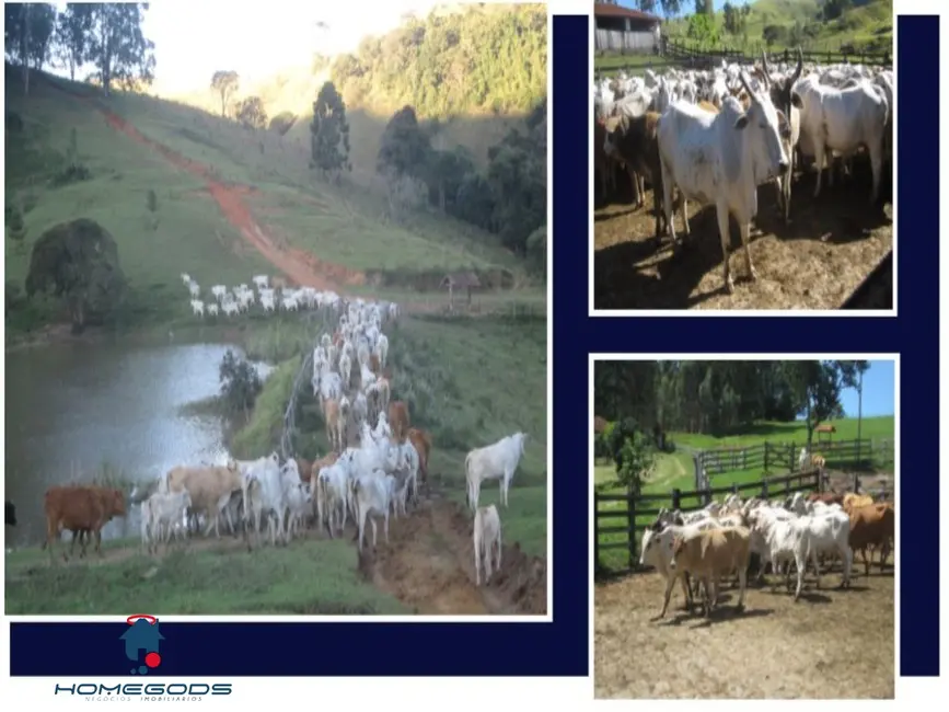 Foto 1 de Fazenda / Haras com 12 quartos à venda, 500m2 em Centro, Itapeva - MG