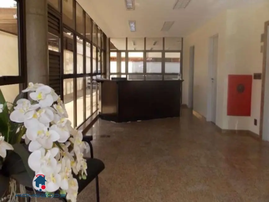 Sala Comercial à venda e para alugar, 1000m2 em Nova Campinas, Campinas - SP - imagem 3 Foto 3 de Sala Comercial à venda e para alugar, 1000m2 em Nova Campinas, Campinas - SP