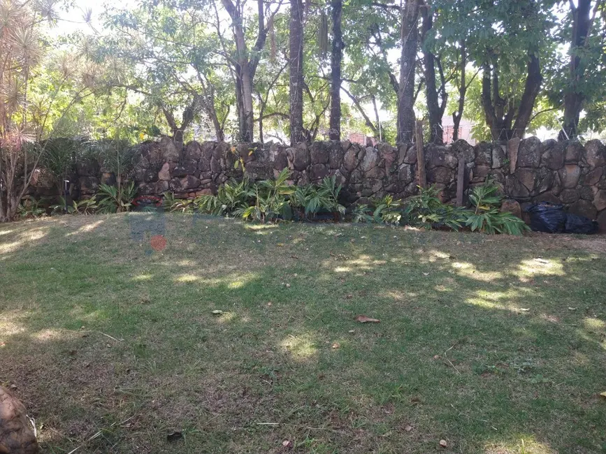 Casa com 3 quartos para alugar, 1160m2 em Jardim das Paineiras, Campinas - SP - imagem 3 Foto 3 de Casa com 3 quartos para alugar, 1160m2 em Jardim das Paineiras, Campinas - SP