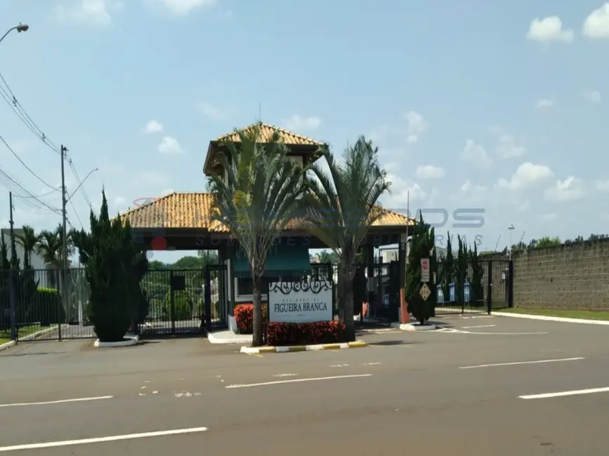 Foto 1 de Casa de Condomínio com 3 quartos à venda, 313m2 em Betel, Paulinia - SP