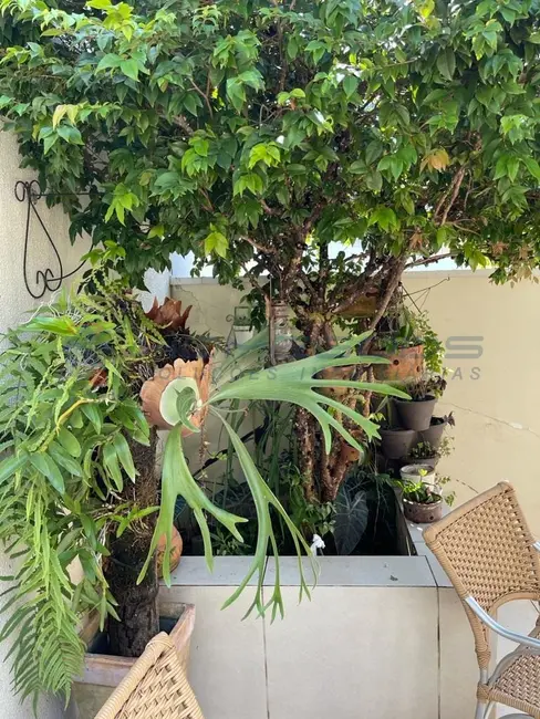 Casa com 3 quartos à venda, 230m2 em Jardim Alto da Colina, Valinhos - SP - imagem 9 Foto 9 de Casa com 3 quartos à venda, 230m2 em Jardim Alto da Colina, Valinhos - SP