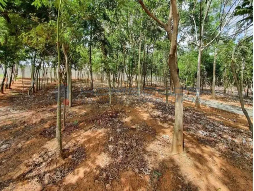 Foto 7 de Terreno / Lote à venda, 250m2 em Parque Ortolândia, Hortolandia - SP