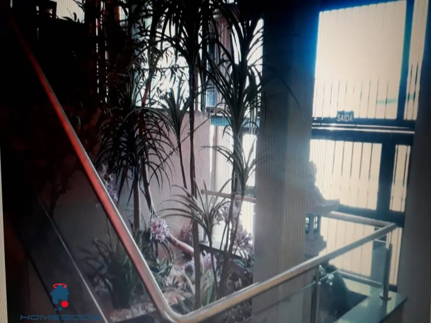 Loja à venda, 275m2 em Taquaral, Campinas - SP - imagem 5 Foto 5 de Loja à venda, 275m2 em Taquaral, Campinas - SP