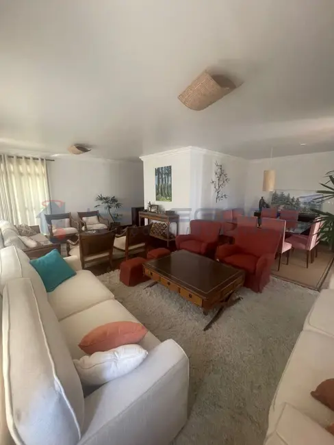 Apartamento com 3 quartos à venda, 212m2 em Cambuí, Campinas - SP - imagem 8 Foto 8 de Apartamento com 3 quartos à venda, 212m2 em Cambuí, Campinas - SP