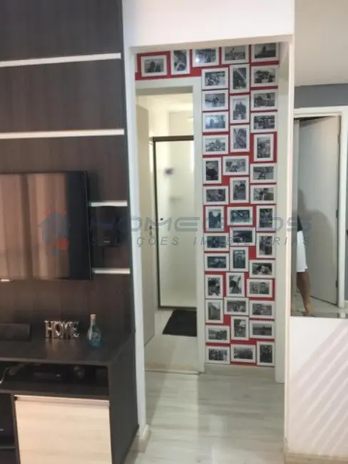 Apartamento com 3 quartos à venda, 52m2 em Vila Marieta, Campinas - SP - imagem 3 Foto 3 de Apartamento com 3 quartos à venda, 52m2 em Vila Marieta, Campinas - SP