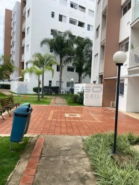Apartamento com 3 quartos à venda, 74m2 em Jardim Alto da Boa Vista, Valinhos - SP - imagem 9 Foto 9 de Apartamento com 3 quartos à venda, 74m2 em Jardim Alto da Boa Vista, Valinhos - SP
