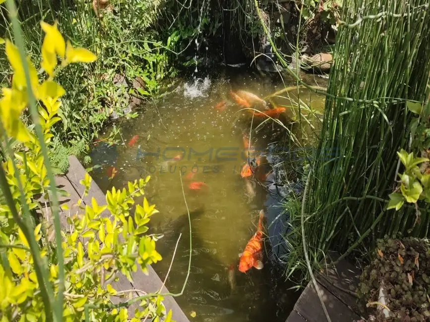 Foto 3 de Apartamento com 3 quartos à venda, 50m2 em Jardim São José, Campinas - SP