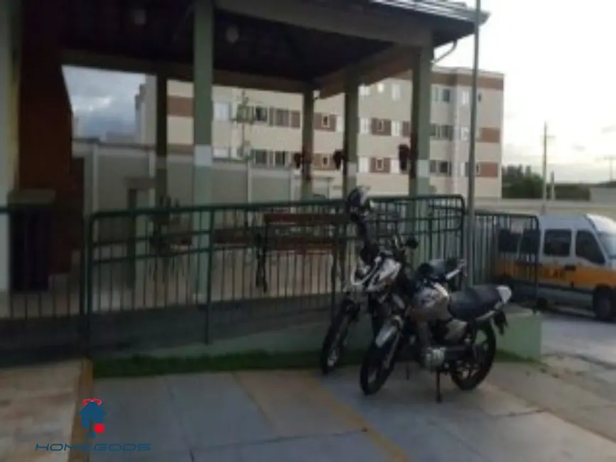 Apartamento com 2 quartos à venda, 45m2 em Loteamento Parque São Martinho, Campinas - SP - imagem 5 Foto 5 de Apartamento com 2 quartos à venda, 45m2 em Loteamento Parque São Martinho, Campinas - SP