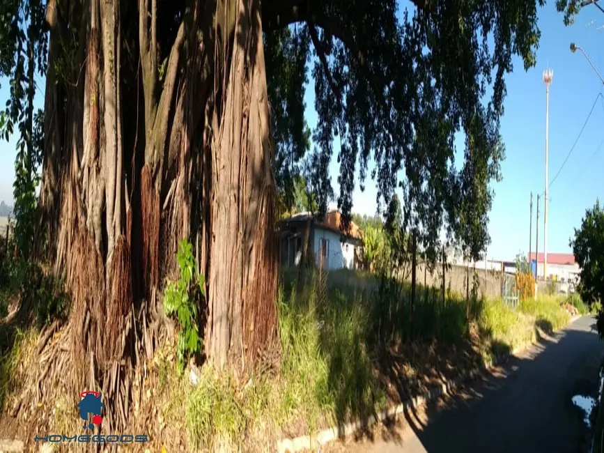 Foto 9 de Terreno / Lote à venda, 21000m2 em Chácaras Luzitana, Hortolandia - SP