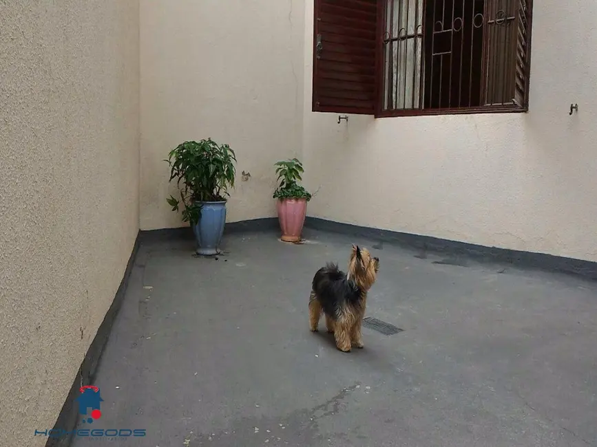 Foto 7 de Apartamento com 3 quartos à venda, 115m2 em Vila Proost de Souza, Campinas - SP