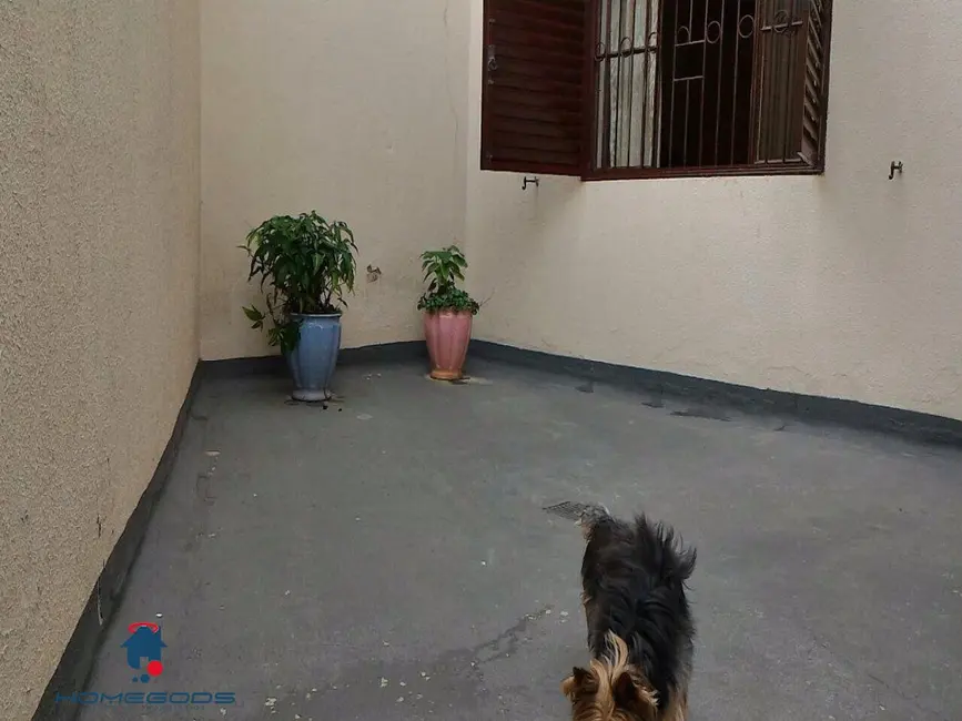 Foto 8 de Apartamento com 3 quartos à venda, 115m2 em Vila Proost de Souza, Campinas - SP