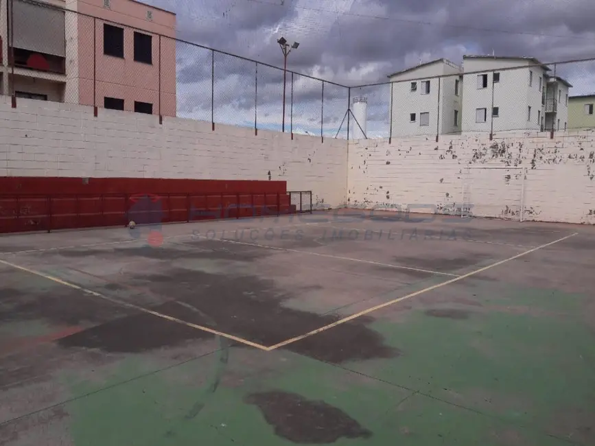Apartamento com 2 quartos à venda, 69m2 em Jardim das Bandeiras, Campinas - SP - imagem 8 Foto 8 de Apartamento com 2 quartos à venda, 69m2 em Jardim das Bandeiras, Campinas - SP