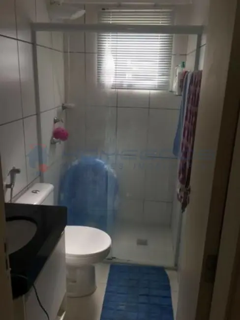 Apartamento com 2 quartos à venda, 45m2 em Vila Carminha, Campinas - SP - imagem 8 Foto 8 de Apartamento com 2 quartos à venda, 45m2 em Vila Carminha, Campinas - SP