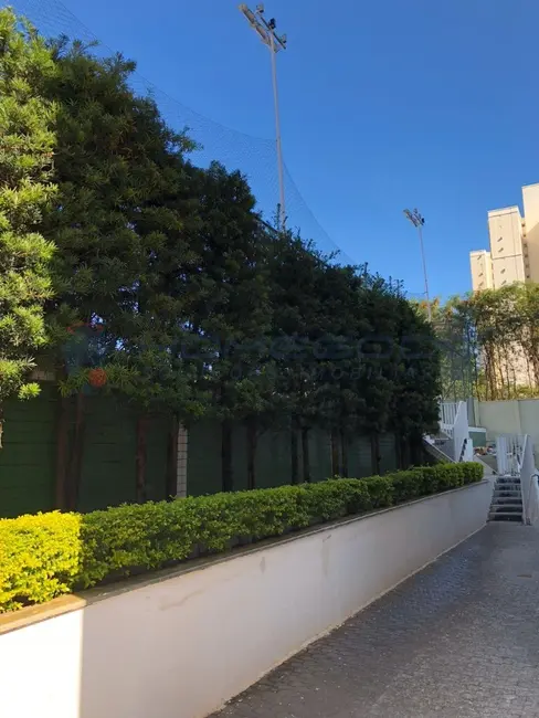 Apartamento com 3 quartos à venda, 182m2 em Chácara Primavera, Campinas - SP - imagem 8 Foto 8 de Apartamento com 3 quartos à venda, 182m2 em Chácara Primavera, Campinas - SP