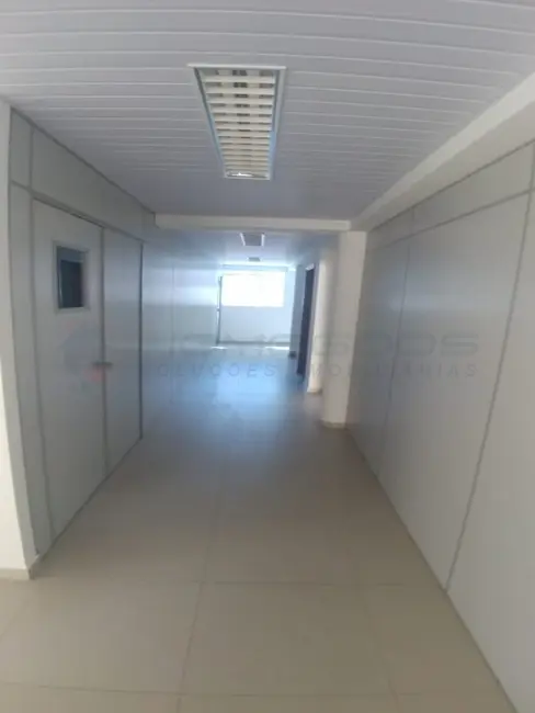 Foto 5 de Sala Comercial para alugar, 621m2 em Chácara da Barra, Campinas - SP