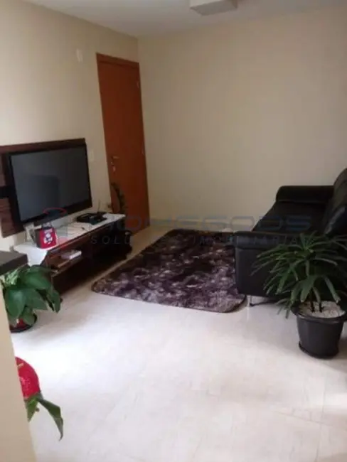 Apartamento com 2 quartos à venda, 45m2 em Campinas - SP - imagem 4 Foto 4 de Apartamento com 2 quartos à venda, 45m2 em Campinas - SP