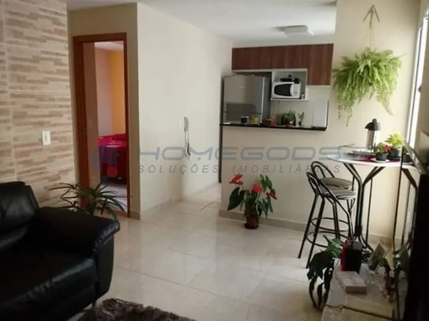 Apartamento com 2 quartos à venda, 45m2 em Campinas - SP - imagem 1 Foto 1 de Apartamento com 2 quartos à venda, 45m2 em Campinas - SP