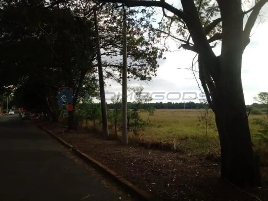Foto 4 de Terreno / Lote à venda em Jardim do Sol, Campinas - SP