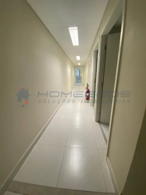 Sala Comercial para alugar, 1218m2 em Nova Campinas, Campinas - SP - imagem 7 Foto 7 de Sala Comercial para alugar, 1218m2 em Nova Campinas, Campinas - SP