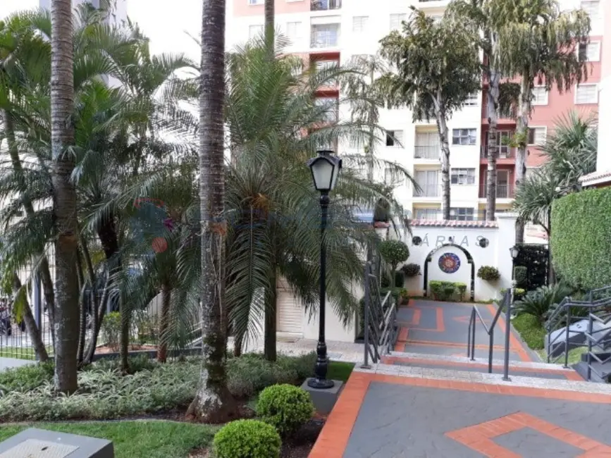 Apartamento com 3 quartos à venda, 61m2 em Vila Nova, Campinas - SP - imagem 9 Foto 9 de Apartamento com 3 quartos à venda, 61m2 em Vila Nova, Campinas - SP