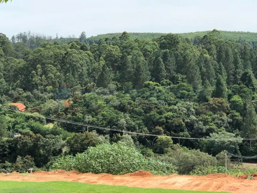 Foto 3 de Terreno / Lote à venda, 1200m2 em Joaquim Egídio, Campinas - SP