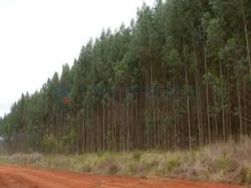 Foto 2 de Fazenda / Haras com 1 quarto à venda, 100m2 em Aiuruoca - MG