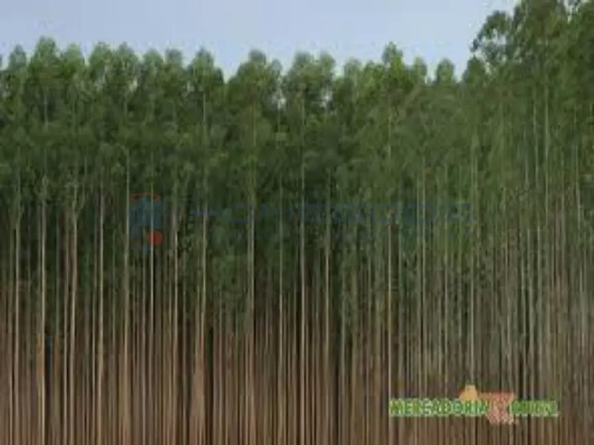 Foto 4 de Fazenda / Haras com 1 quarto à venda, 100m2 em Aiuruoca - MG