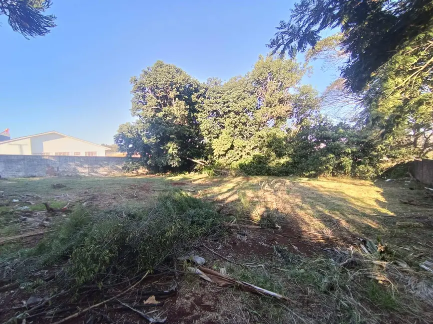 Foto 4 de Terreno / Lote à venda, 1032m2 em Canadá, Cascavel - PR