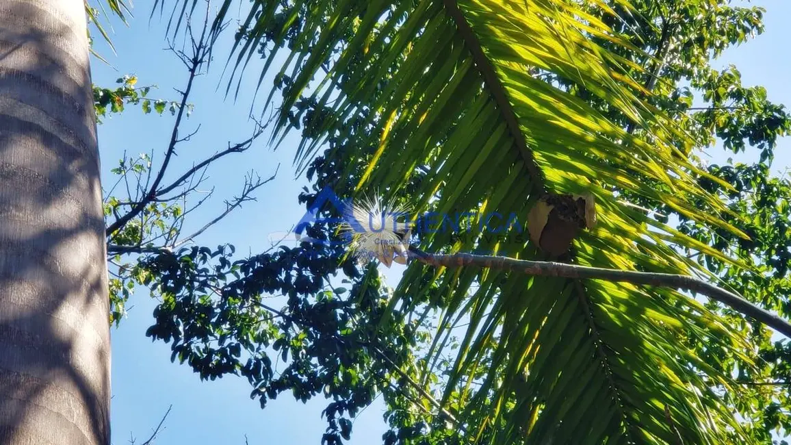 Foto 6 de Lote de Condomínio à venda, 840m2 em Itupeva - SP