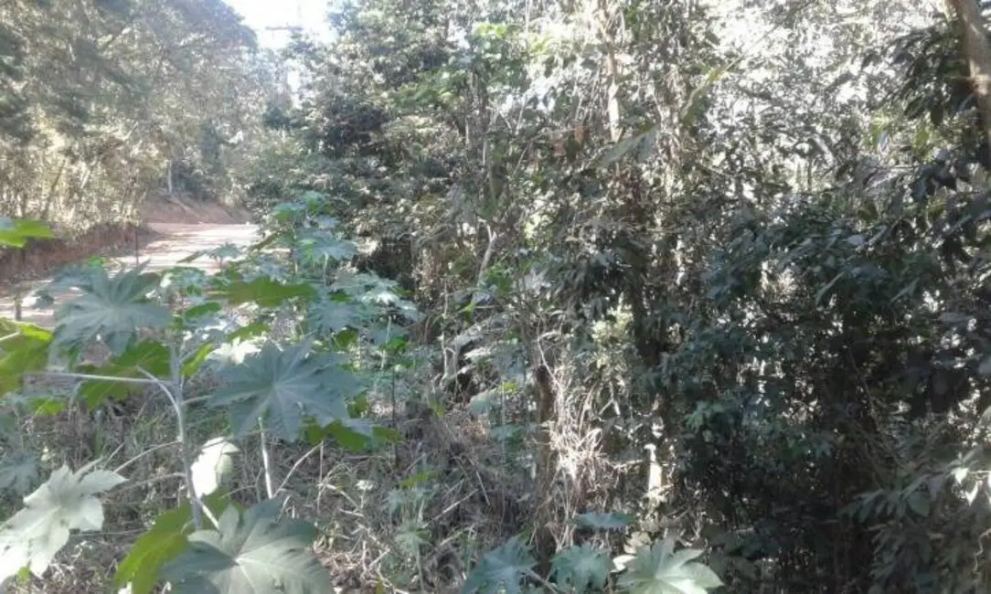 Foto 3 de Terreno / Lote à venda, 5600m2 em Itupeva - SP