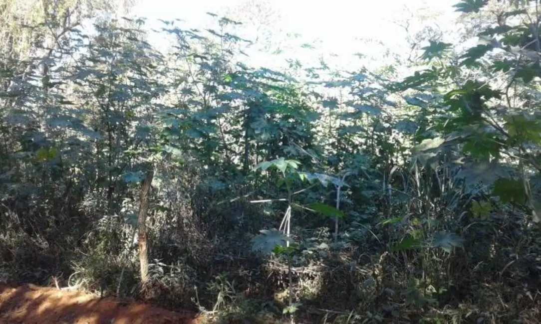 Foto 5 de Terreno / Lote à venda, 5600m2 em Itupeva - SP