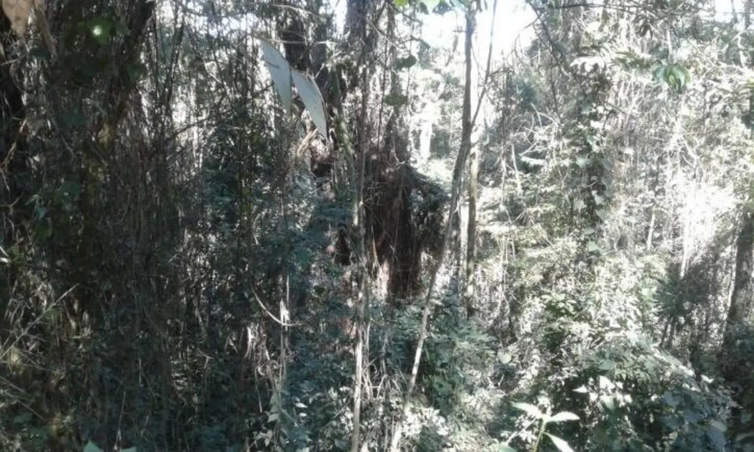 Foto 6 de Terreno / Lote à venda, 5600m2 em Itupeva - SP