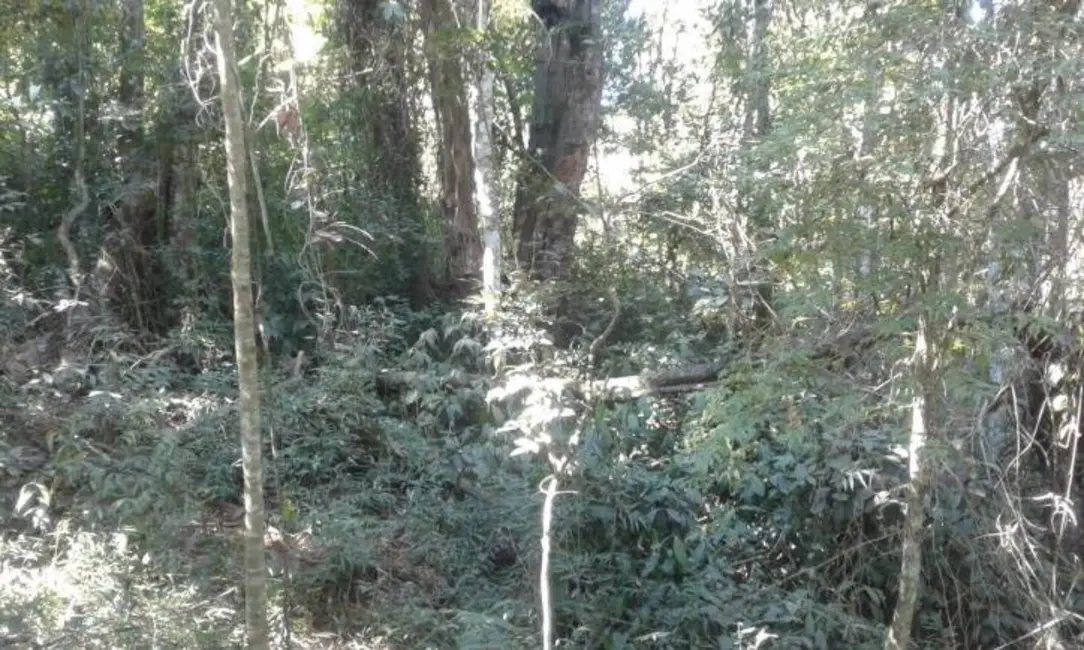 Foto 4 de Terreno / Lote à venda, 5600m2 em Itupeva - SP