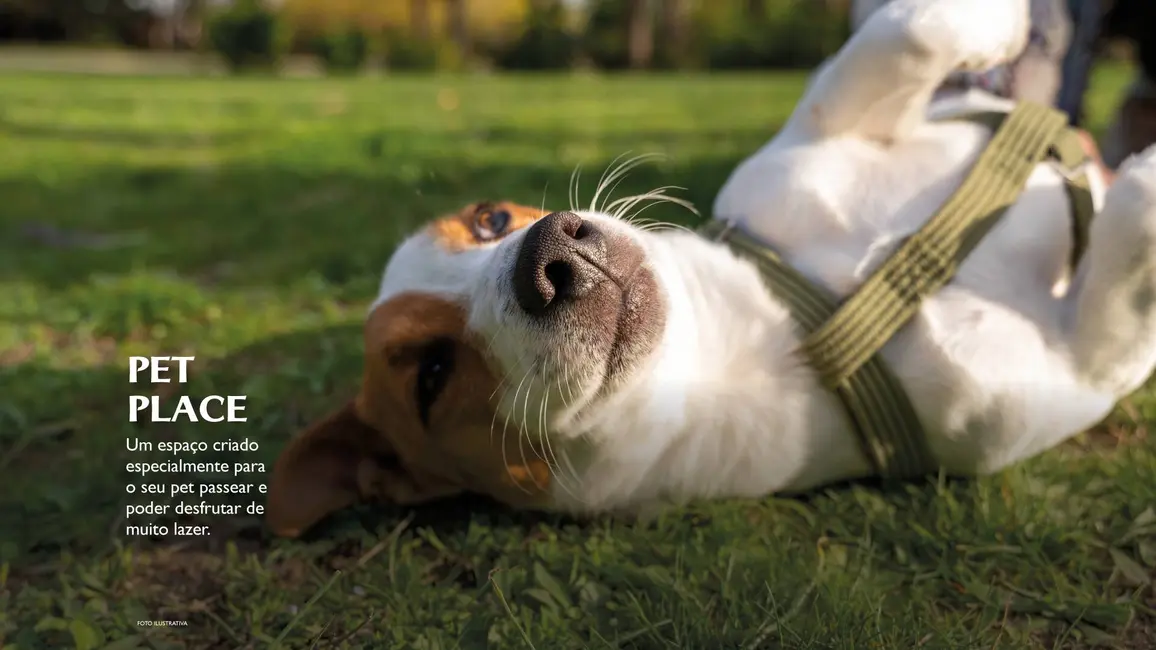 Foto 5 de Apartamento com 3 quartos à venda, 71m2 em Itupeva - SP