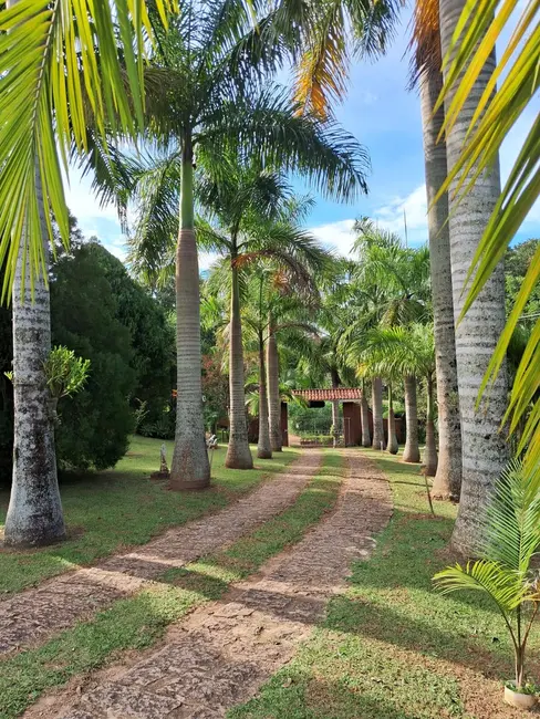 Foto 1 de Chácara com 3 quartos à venda, 8000m2 em Itupeva - SP
